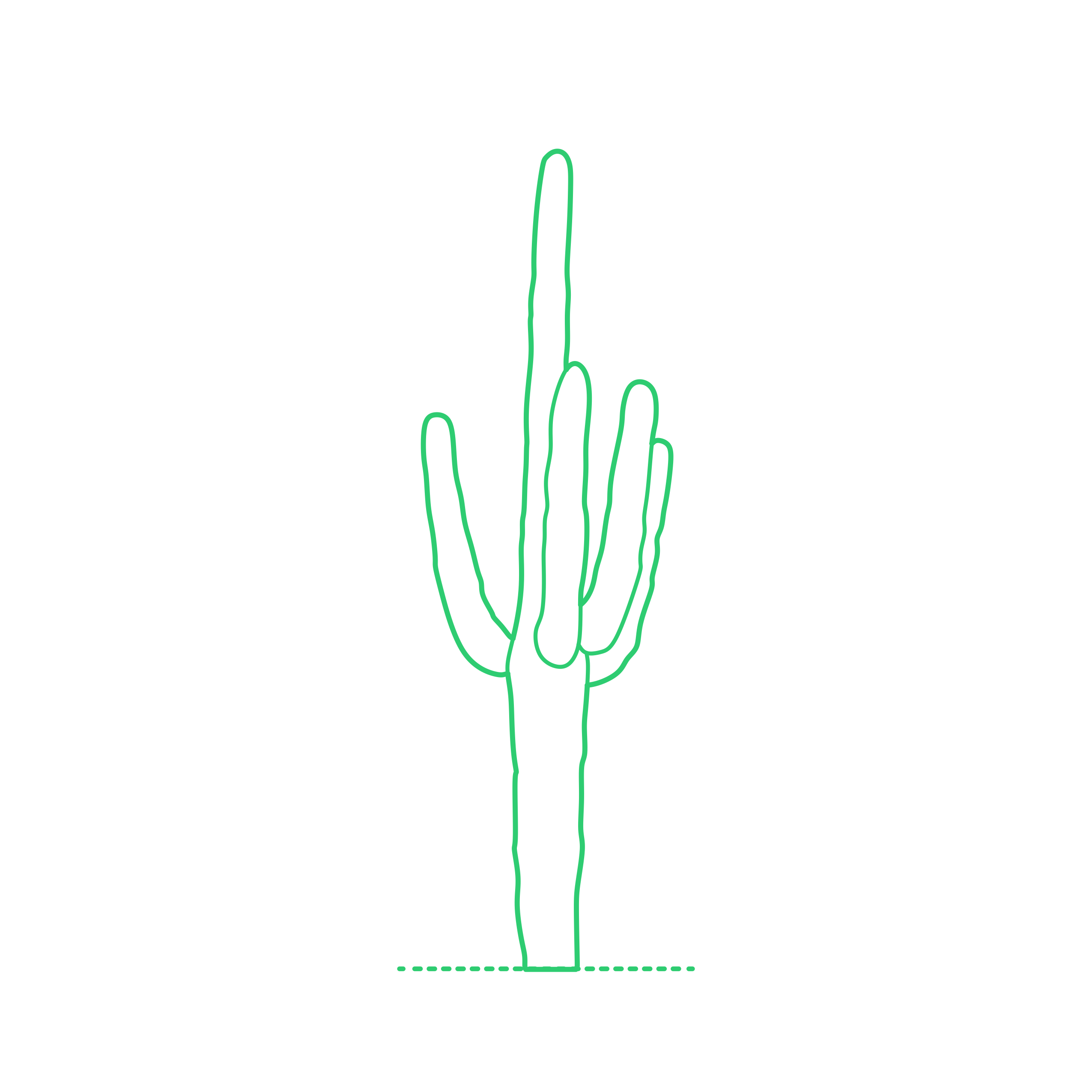 Plants Cactus Svg Line Art Free Vectors